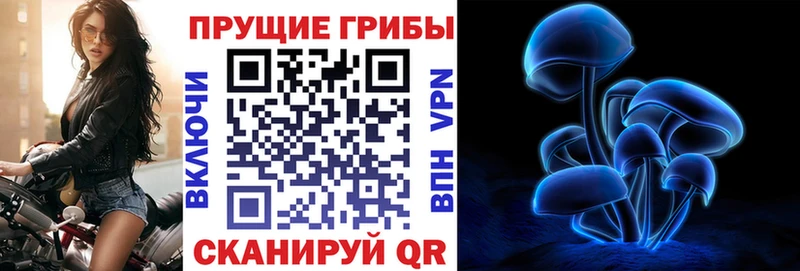 OMG рабочий сайт  Ртищево  Галлюциногенные грибы Magic Shrooms  закладки 